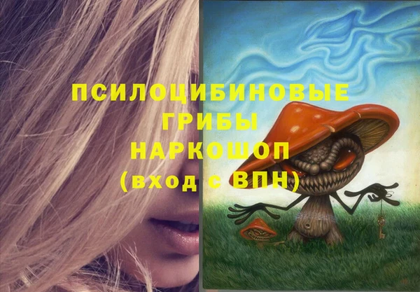 ПСИЛОЦИБИНОВЫЕ ГРИБЫ Тайга