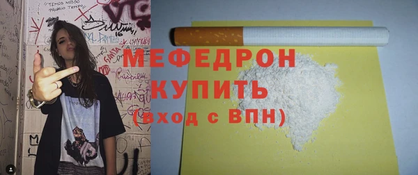 индика Богородск