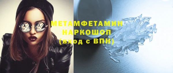 индика Богородск