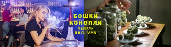 спиды Богданович