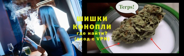 спиды Богданович