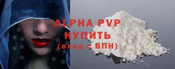 индика Богородск