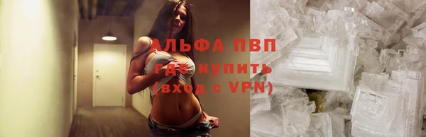 кокс Богородицк