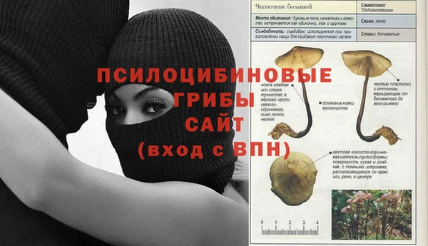 кокаин колумбия Белокуриха