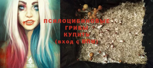 спиды Богданович
