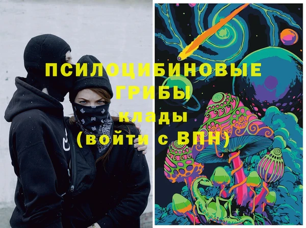 индика Богородск