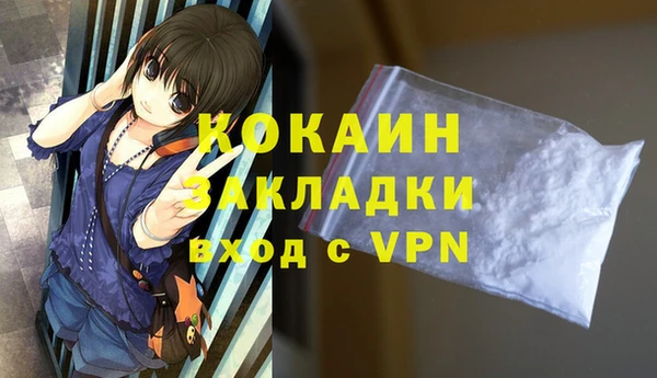кокс Богородицк