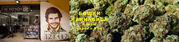 индика Богородск