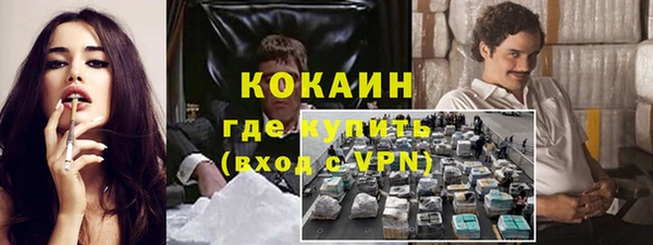 индика Богородск