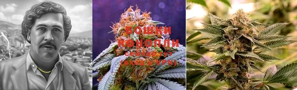 спиды Богданович