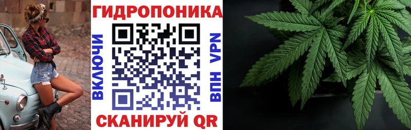 Каннабис индика  Кольчугино 